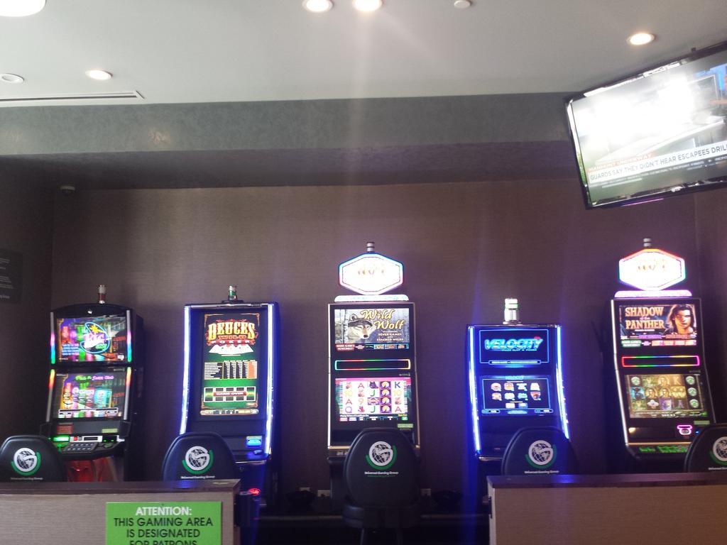 Wyndham Garden Elk Grove Village - O'Hare Bagian luar foto