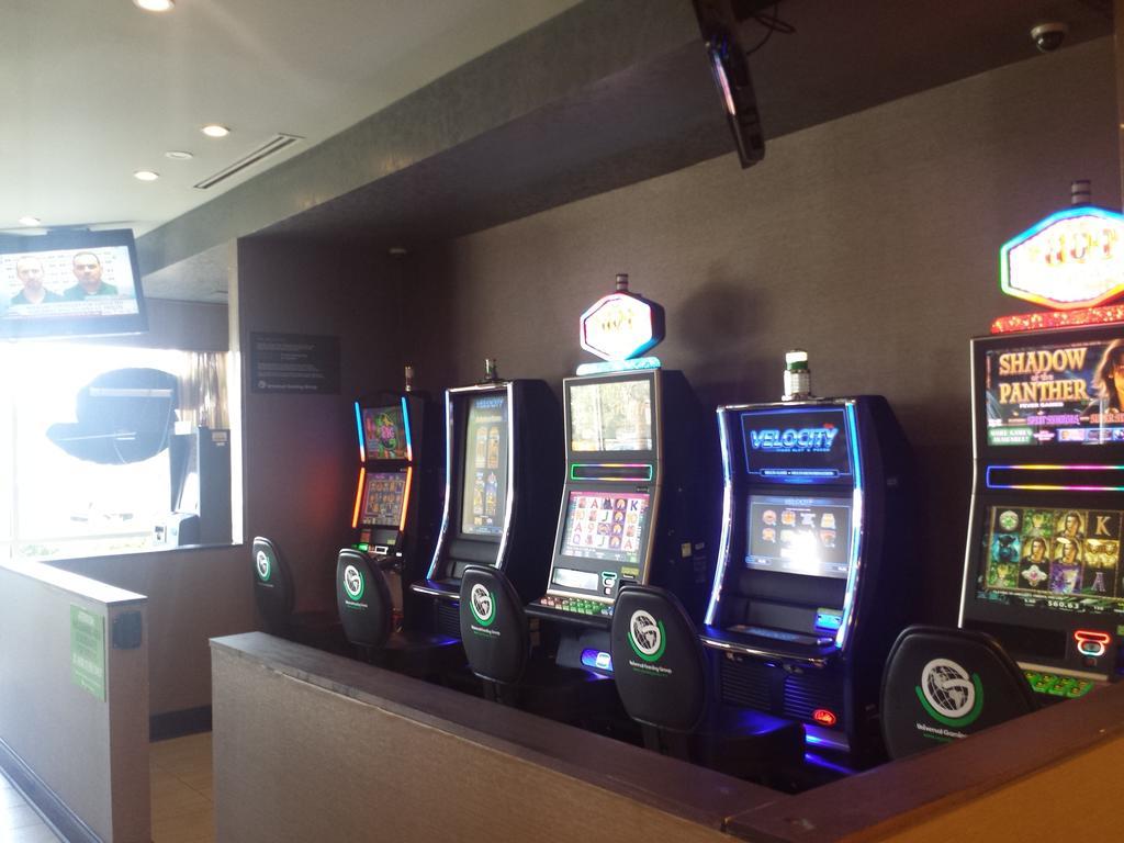 Wyndham Garden Elk Grove Village - O'Hare Bagian luar foto